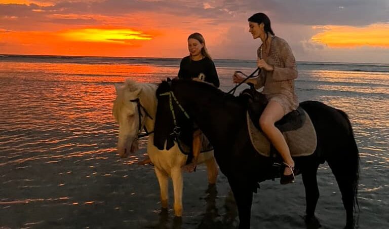 study abroad for a year