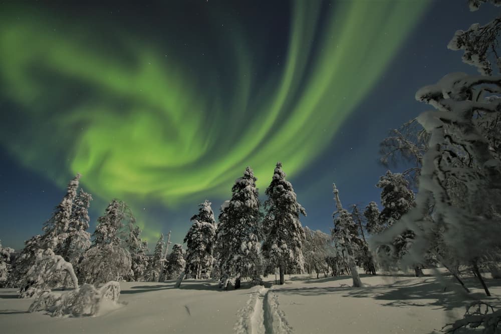 Finnish laplands semester in Finland