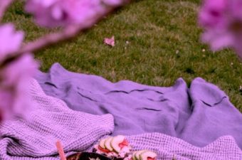 Best picnic spots in Segovia