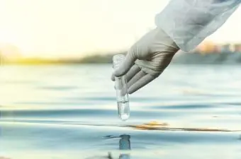 Career opportunities in environmental sciences
