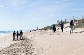 beach_cleaning_ie|||||||||||