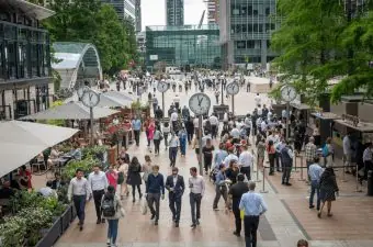 IE University career outcomes London
