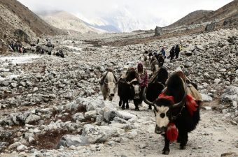 himalayas_1