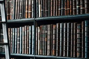 Comparative Law Methodology|argyri panezi (2)