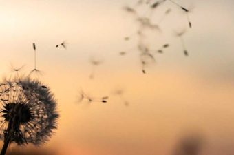 Universal Basic income