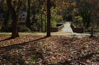 study-in-spain-running-paths-IE-University-Segovia|Study in Spain